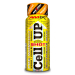 AmixPro CellUp® 20x60ml Mango